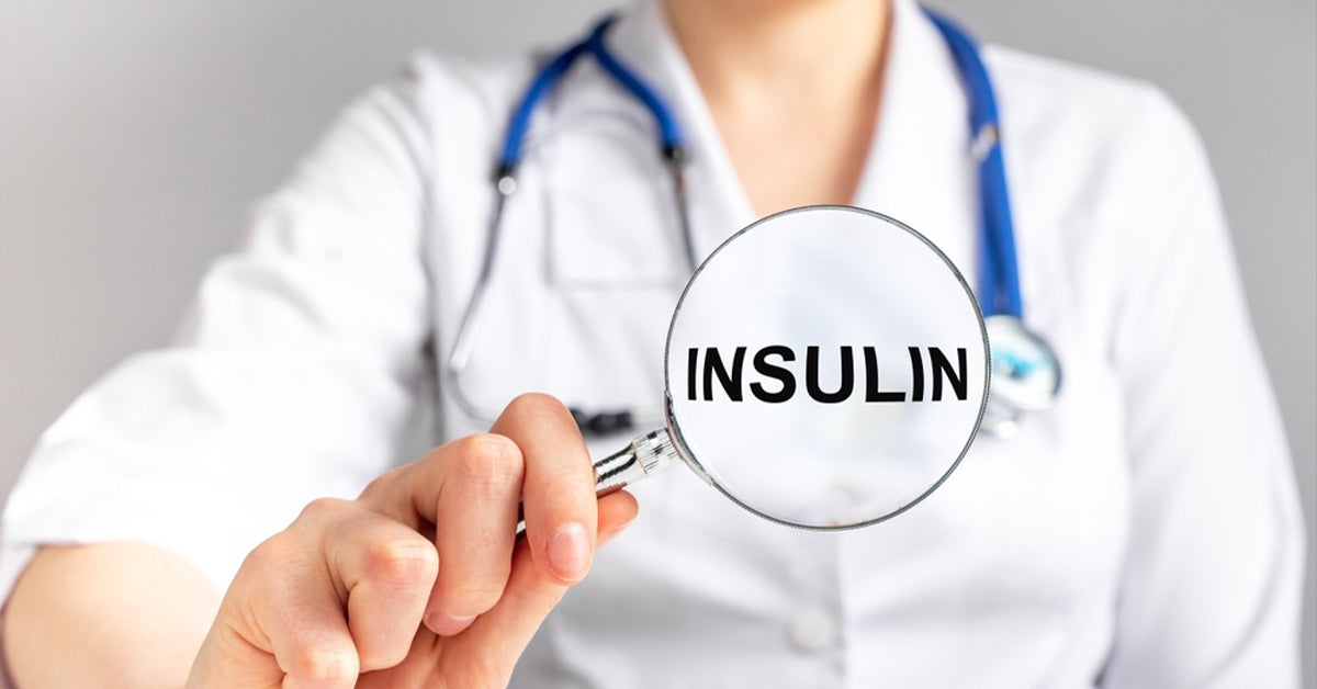 Role of insulin in the body blood sugar regulation and pancreas function