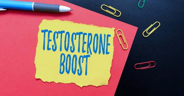 T-Hero Review vs. Nutesta Review testosterone booster supplement bottle comparison for male health support