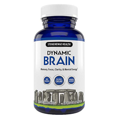 Dynamic Brain