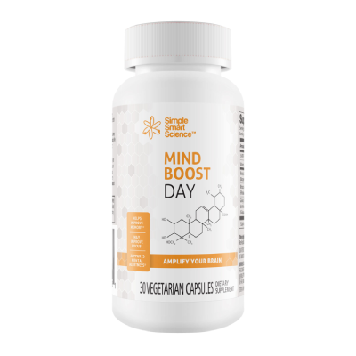 MindBoost Day