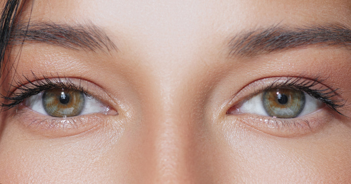 VisiUltra vs Ocuvital eye health supplement comparison