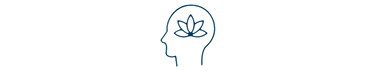 Zenoton Icon New