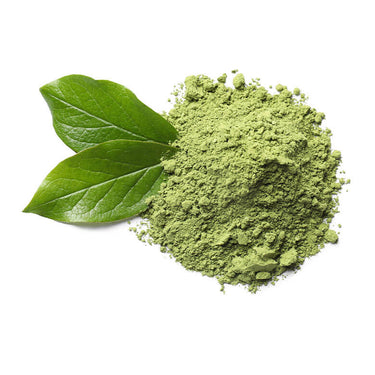 Green Tea Extract